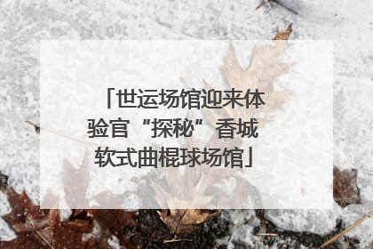 世运场馆迎来体验官“探秘”香城软式曲棍球场馆