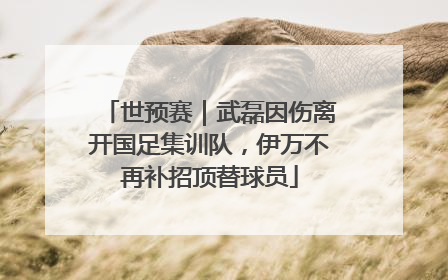 世预赛｜武磊因伤离开国足集训队，伊万不再补招顶替球员
