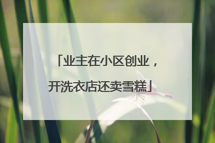 业主在小区创业，开洗衣店还卖雪糕