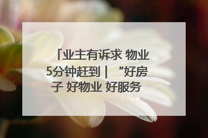 业主有诉求 物业5分钟赶到｜“好房子 好物业 好服务”系列报道④