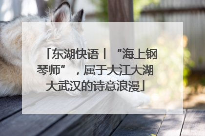 东湖快语丨“海上钢琴师”，属于大江大湖大武汉的诗意浪漫