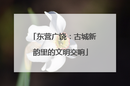 东营广饶：古城新韵里的文明交响