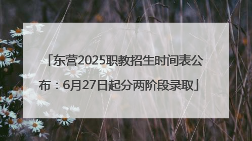 东营2025职教招生时间表公布：6月27日起分两阶段录取