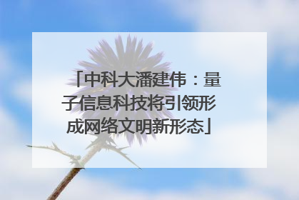 中科大潘建伟：量子信息科技将引领形成网络文明新形态