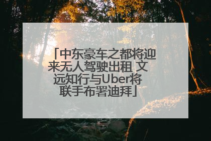 中东豪车之都将迎来无人驾驶出租 文远知行与Uber将联手布署迪拜