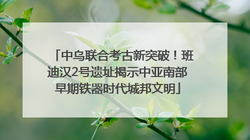 中乌联合考古新突破！班迪汉2号遗址揭示中亚南部早期铁器时代城邦文明