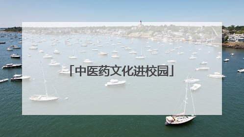 中医药文化进校园