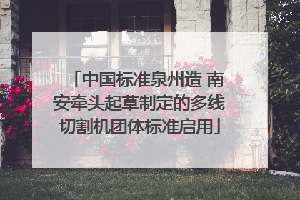 中国标准泉州造 南安牵头起草制定的多线切割机团体标准启用