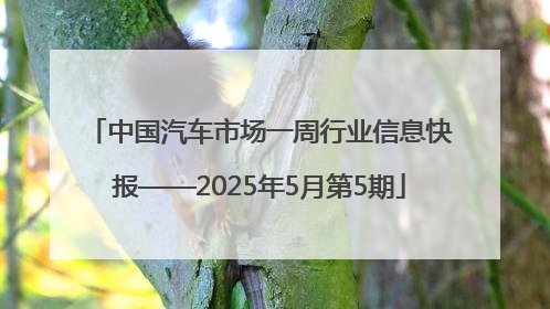 中国汽车市场一周行业信息快报——2025年5月第5期