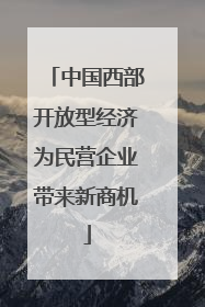 中国西部开放型经济为民营企业带来新商机
