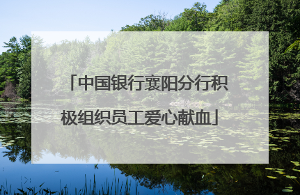 中国银行襄阳分行积极组织员工爱心献血