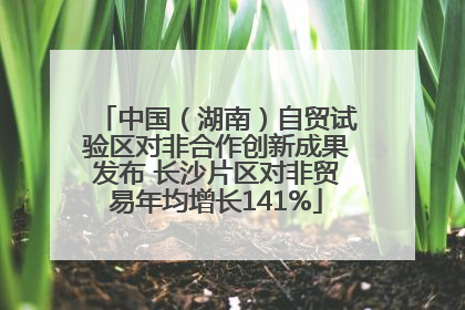 中国（湖南）自贸试验区对非合作创新成果发布 长沙片区对非贸易年均增长141%