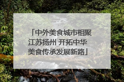 中外美食城市相聚江苏扬州 开拓中华美食传承发展新路