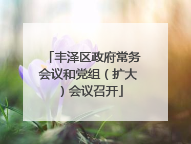 丰泽区政府常务会议和党组（扩大）会议召开