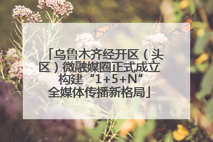 乌鲁木齐经开区（头区）微融媒圈正式成立 构建“1+5+N”全媒体传播新格局