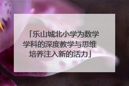 乐山城北小学为数学学科的深度教学与思维培养注入新的活力