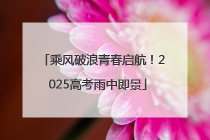 乘风破浪青春启航！2025高考雨中即景