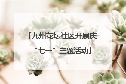 九州花坛社区开展庆“七一”主题活动