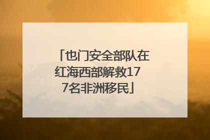 也门安全部队在红海西部解救177名非洲移民
