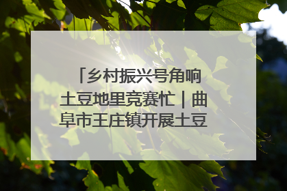 乡村振兴号角响 土豆地里竞赛忙｜曲阜市王庄镇开展土豆收获劳动竞赛