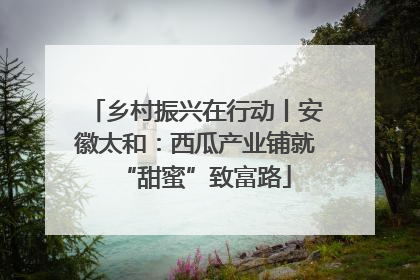 乡村振兴在行动丨安徽太和：西瓜产业铺就“甜蜜”致富路