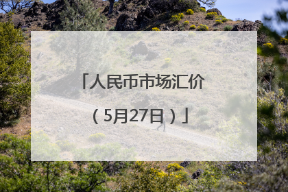 人民币市场汇价（5月27日）