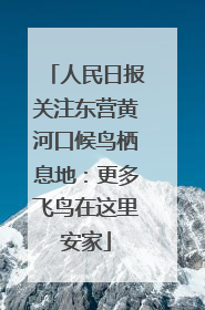 人民日报关注东营黄河口候鸟栖息地：更多飞鸟在这里安家
