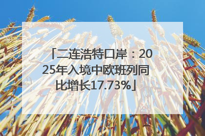 二连浩特口岸：2025年入境中欧班列同比增长17.73%
