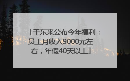 于东来公布今年福利：员工月收入9000元左右，年假40天以上