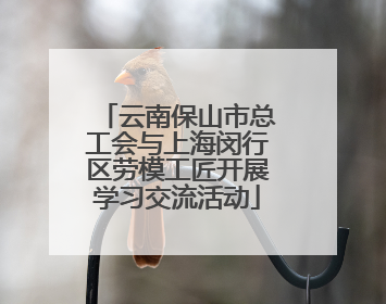 云南保山市总工会与上海闵行区劳模工匠开展学习交流活动