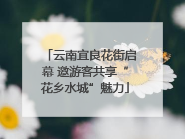 云南宜良花街启幕 邀游客共享“花乡水城”魅力
