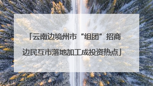 云南边境州市“组团”招商 边民互市落地加工成投资热点