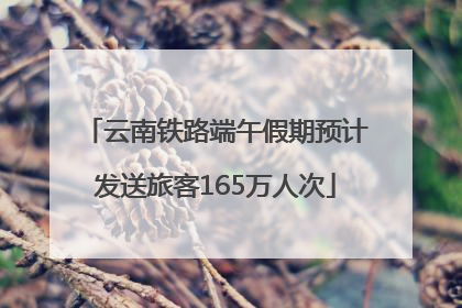 云南铁路端午假期预计发送旅客165万人次