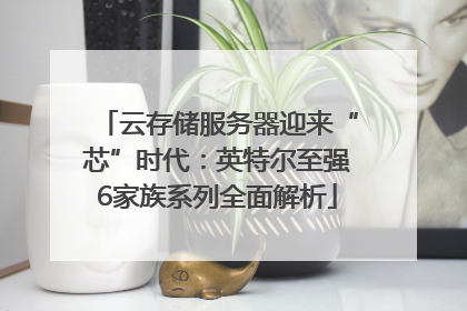 云存储服务器迎来“芯”时代：英特尔至强6家族系列全面解析