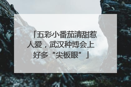 五彩小番茄清甜惹人爱，武汉种博会上好多“尖板眼”
