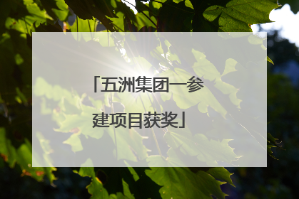 五洲集团一参建项目获奖