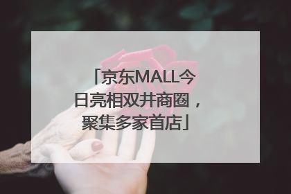 京东MALL今日亮相双井商圈，聚集多家首店