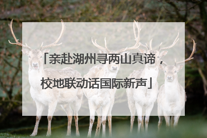 亲赴湖州寻两山真谛，校地联动话国际新声