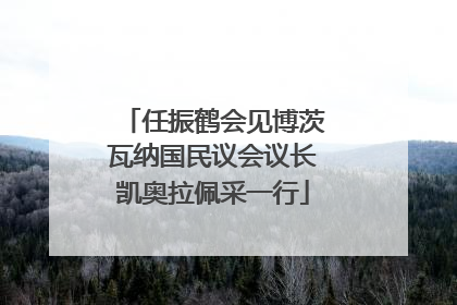 任振鹤会见博茨瓦纳国民议会议长凯奥拉佩采一行