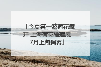 今夏第一波荷花盛开 上海荷花睡莲展7月上旬揭幕