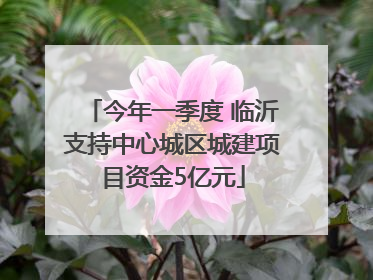 今年一季度 临沂支持中心城区城建项目资金5亿元