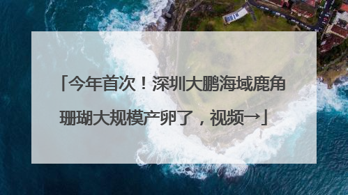 今年首次！深圳大鹏海域鹿角珊瑚大规模产卵了，视频→