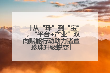 从“珠”到“宝”，“平台+产业”双向赋能行动助力诸暨珍珠升级蜕变