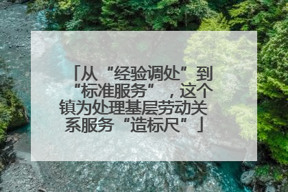 从“经验调处”到“标准服务”，这个镇为处理基层劳动关系服务“造标尺”
