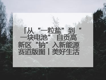 从“一粒盐”到“一块电池” 自贡高新区“钠”入新能源赛道版图丨美好生活有“盐”味