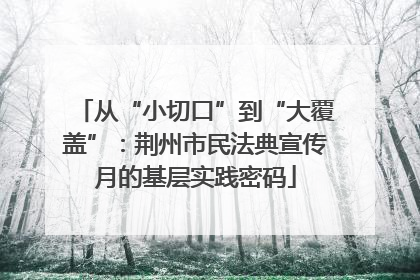 从“小切口”到“大覆盖”：荆州市民法典宣传月的基层实践密码
