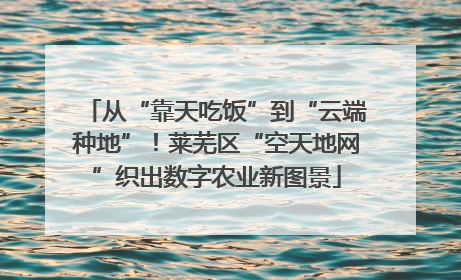 从“靠天吃饭”到“云端种地”！莱芜区“空天地网”织出数字农业新图景