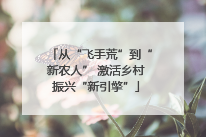 从“飞手荒”到“新农人” 激活乡村振兴“新引擎”