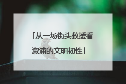 从一场街头救援看溆浦的文明韧性