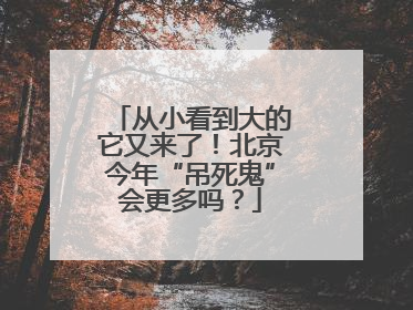 从小看到大的它又来了！北京今年“吊死鬼”会更多吗？